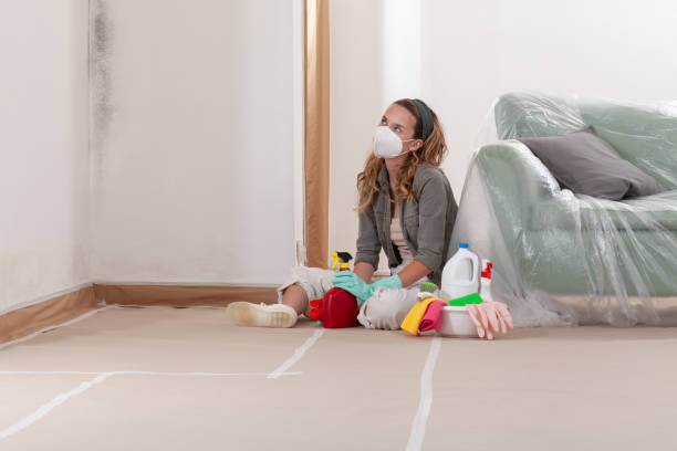 Reliable Commercial Mold Remediation contractor in Hopewell, TN by WQB Mold Removal